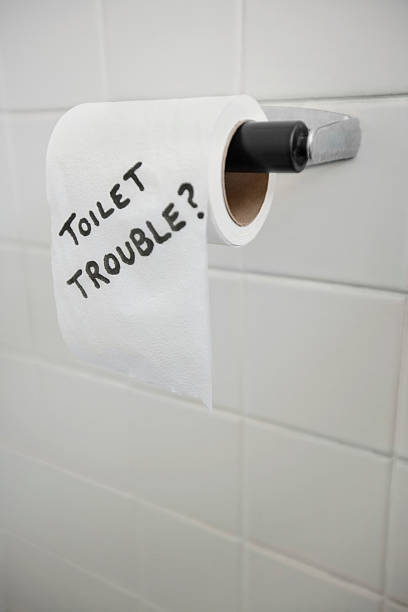 istock Toilet paper 493766001