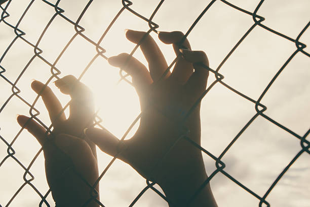 istock Female hand holding on chain link fence 493766390