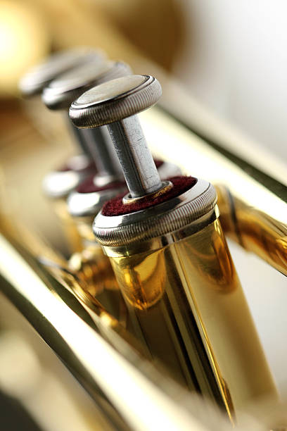 istock Golden trumpet closeup, on white background 493783606