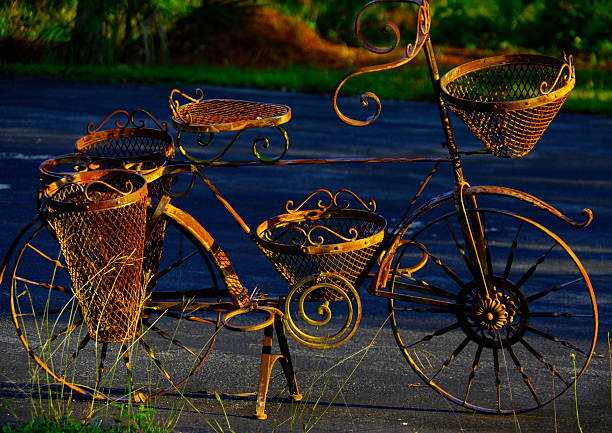 le jardin vélo - bicycle ornamental garden flower formal garden photos et images de collection