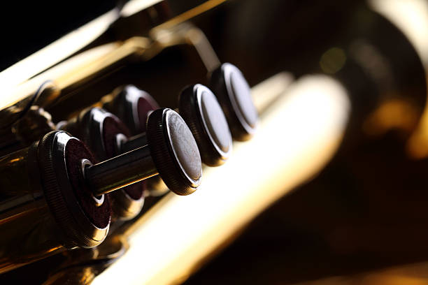 istock Golden trumpet closeup, on black background 493784390