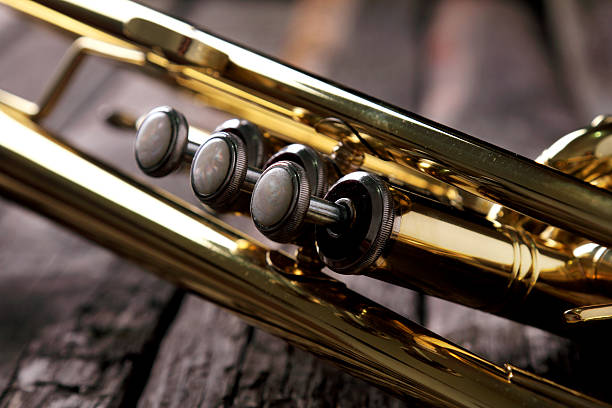 istock Trumpet on an old wooden table 493785316