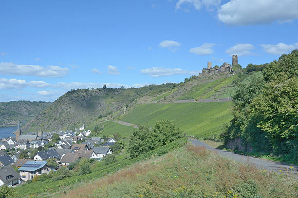 istock Alken,Mosel Valley,Germany 493785584