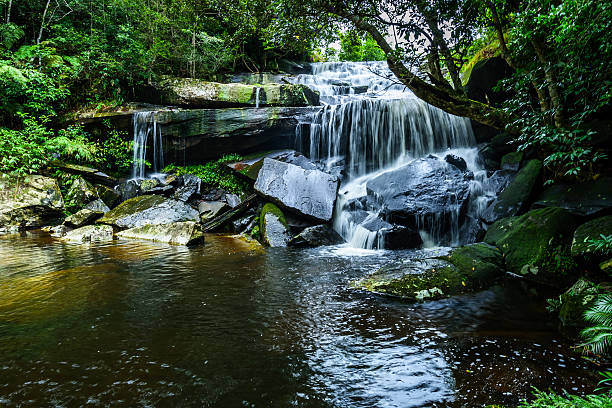 istock Deep forest waterfall Phu Kradueng national park ,Thailand 493786124