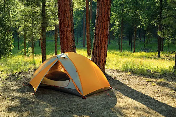 Tent camping in a wooded campground in Santa Fe National Forest, New Mexico.