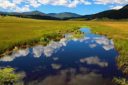 Blue sky and puffy clouds are reflected in a stream, in Valles Caldera National Preserve in New Mexico, USA.