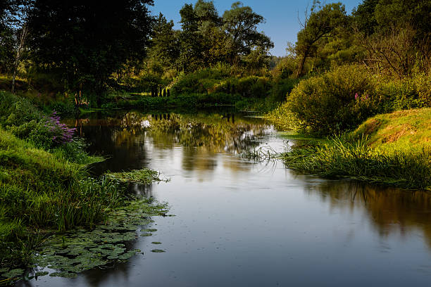 istock Landscape with the river creek 493788848