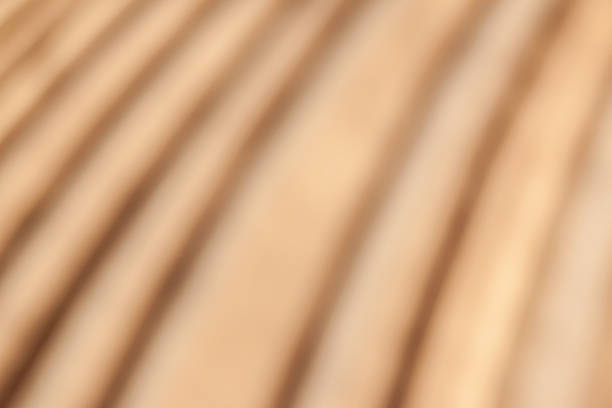 istock Abstract blurred background of hotel carpet floor. 493791418