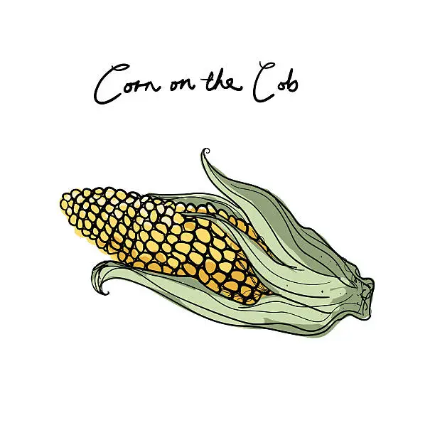 Vector illustration of Corn on the Cob
