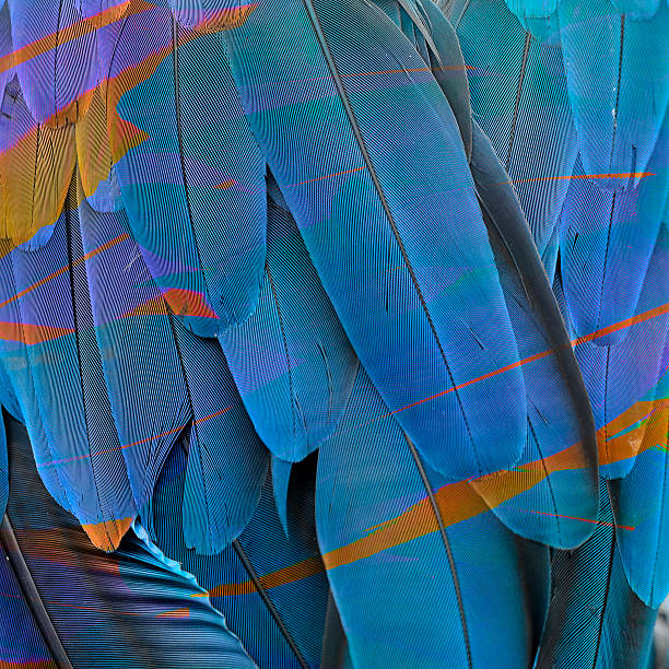 istock Interesting Blue and Brown line Background texture made of Blue 493792008