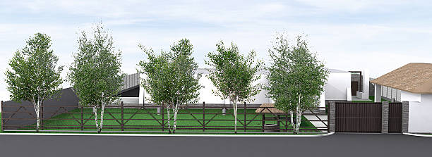 Landscape design front yard, 3D render Natural character of the site into the design. Green design features. Example of rustic style landscaping. betula utilis stock pictures, royalty-free photos & images