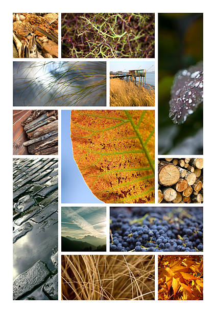 Images of Autumn