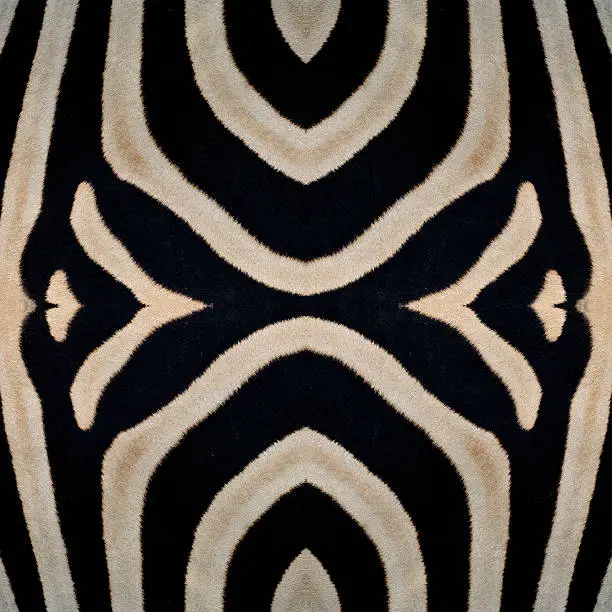 Photo of Beautiful Seamless zebra skin in best texture background