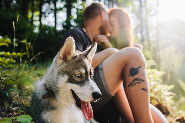 istock beautiful couple resting in the forest 493794608
