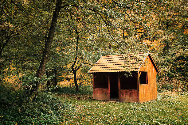 istock Wood hut on autumn forest 493794658