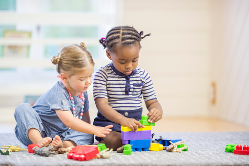 A multi-ethnic group of toddlers are sitting on the floor playing with toy building blocks.
