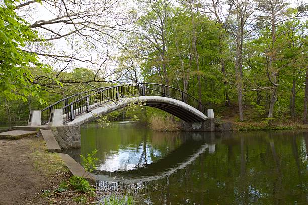 istock Classic bridge in the park 493796226