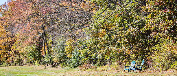 Chairs Among Foliage Two chairs sit below some amazing Fall colors in Doylestown, PA USA folliage stock pictures, royalty-free photos & images