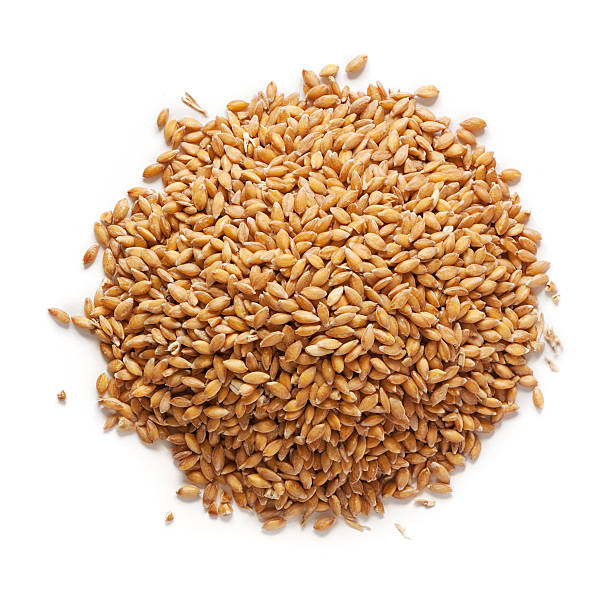 istock Grain of the wheat on a white background 493796655