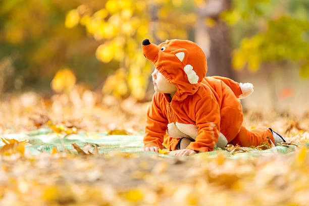 istock Cute baby boy dressed in fox costume 493797090