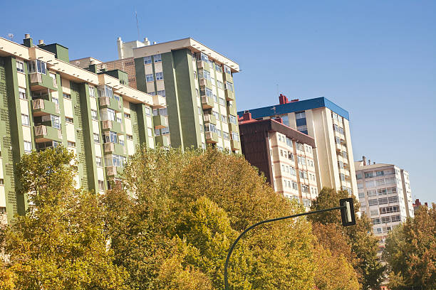 istock Avenue with residential buildings and trees. 493797484