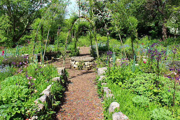 istock Ornamental vegetable garden with pathway leading to living willow dome 493797853