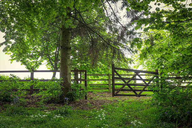 open gate in English countryside