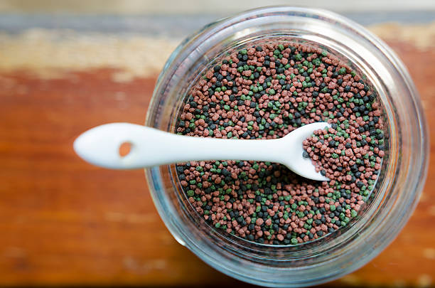 Fish Feed In The Jar Fish Feed In The Jar and within spoon fish food stock pictures, royalty-free photos & images