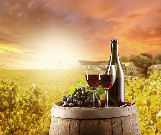 istock Red wine still life with vineyard on backgorund 493799039