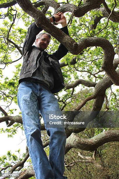 Photo libre de droit de Image De Bel Homme Escalade Chêne Debout Dans Les Branches banque d'images et plus d'images libres de droit de Activité