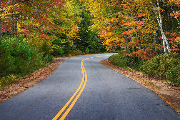 istock Winding road through autumn trees in New England 493799094