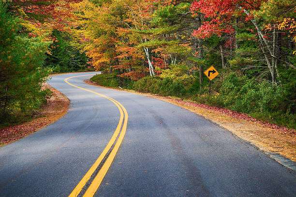 istock Winding road through autumn trees in New England 493799180
