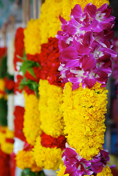 istock Indian Flower Garland 493799791