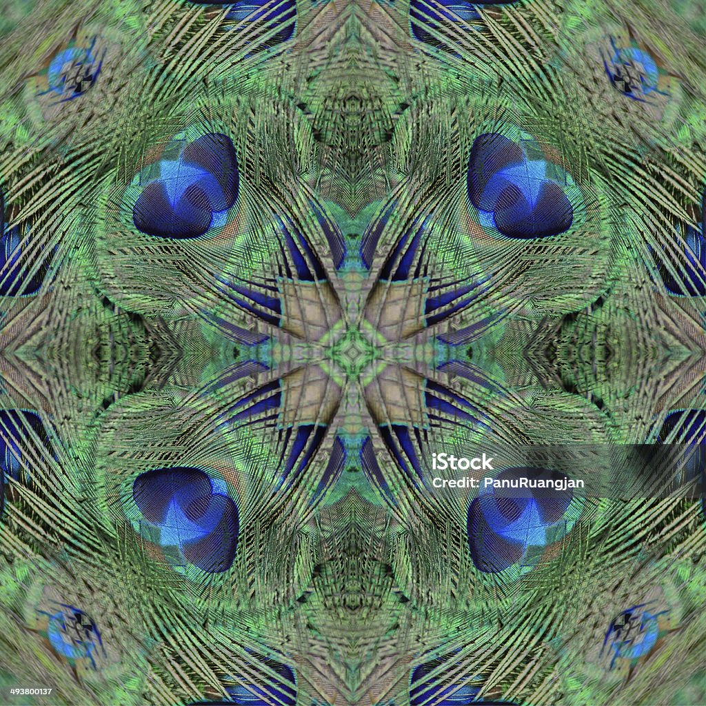 background pattern Background pattern made from Green Peafowl feather Abstract Stock Photo