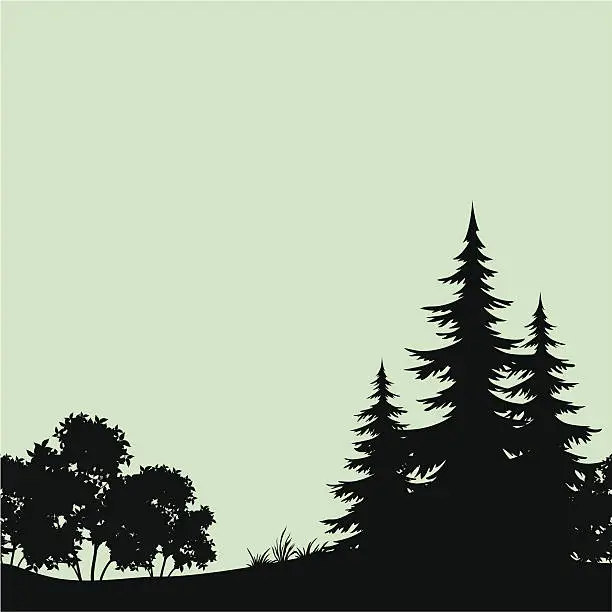 Vector illustration of Seamless landscape, night forest silhouettes