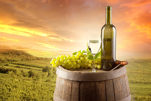 istock White wine still life with vineyard on backgorund 493800871