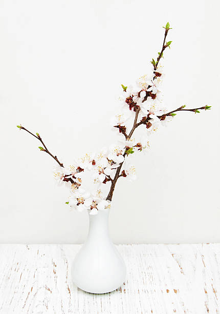 istock vase with spring blossom on wood background 493825940