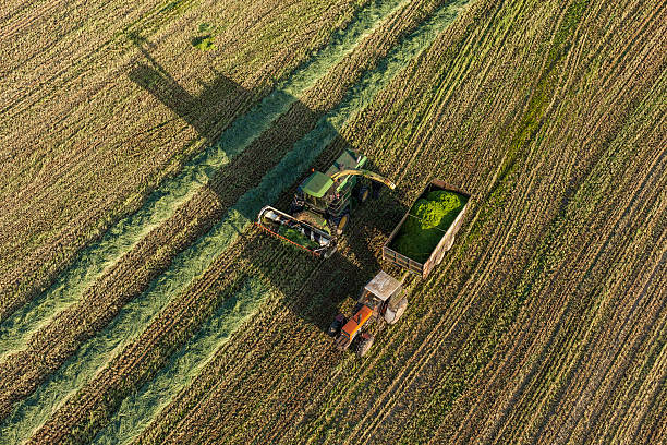 istock aerial view of harvest fields with combine and tractor 493826116