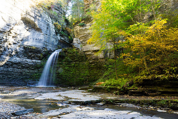istock Wide Shot of Waterfall in Autumn 493826584