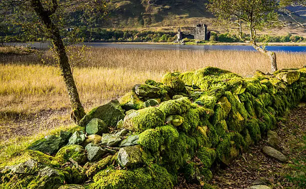 Photo was taken at Kilchurn Castle at Loch Awe, Western Scotland.