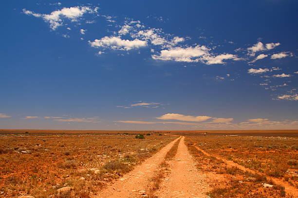 istock Track across the Australian outback 493828282