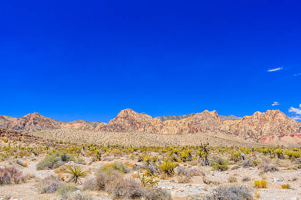 istock Red Rock Canyon panoramic, Mojave Desert, Nevada, USA 493829928