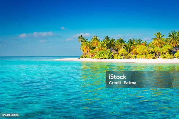 Maldives Stock Photo - Download Image Now - 2015, Backgrounds, Beach