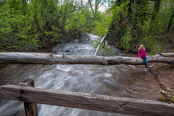 istock Girl on Log Over Creek 493832397