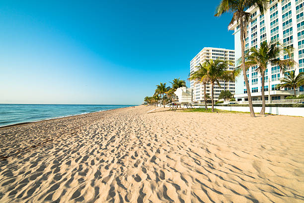 istock Fort Lauderdale Florida Beach 493832665