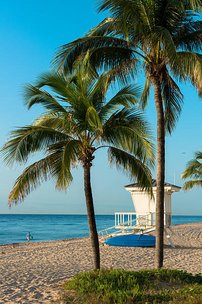 フォートローダーデール、フロリダのビーチ - fort lauderdale florida beach lifeguard ストックフォトと画像