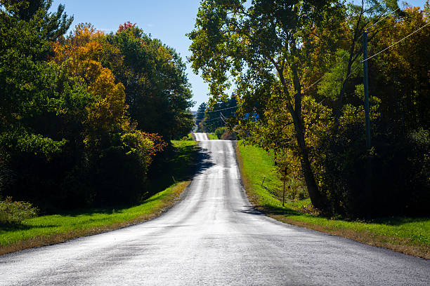 istock Hilly Road in Autumn 493833948