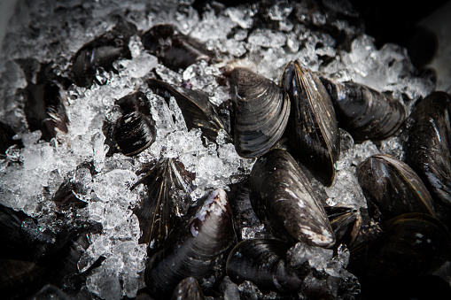 Mussels are black ice on the market in France