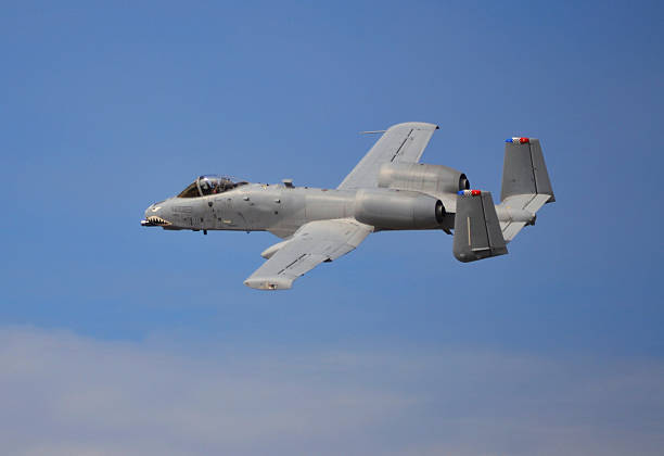 The A-10 Warthog/Thunderbolt II Side-view of a A-10 Warthog/Thunderbolt II attack jet warthog stock pictures, royalty-free photos & images