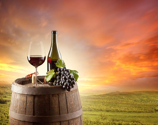 istock Red wine still life with vineyard on backgorund 493834857